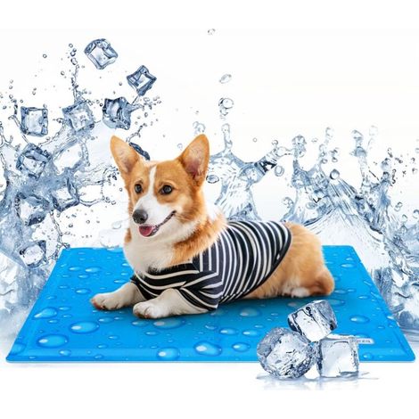 Tapis rafraîchissant chien taille M (65x50) — PetCool